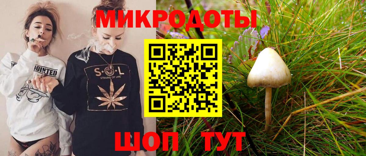 где купить наркотик  Псилоцибиновые грибы Psilocybe  Вход с VPN  Мелеуз 