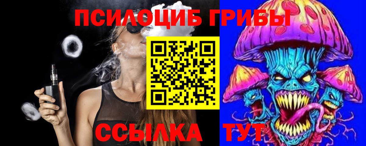 Псилоцибиновые грибы Psilocybine cubensis Мелеуз